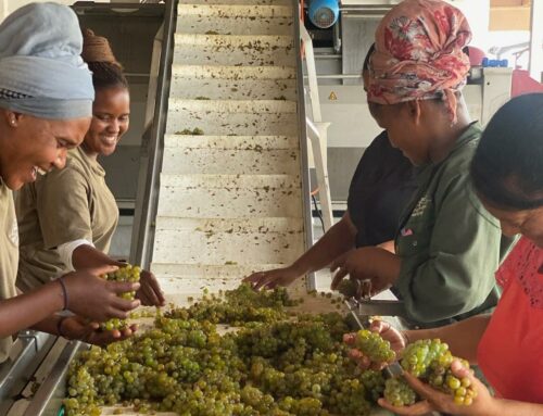 2025 HARVEST SEASON: Harvest Intern